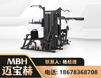 南阳四人站训练器