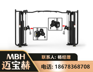 南阳大飞鸟训练器