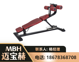 南阳可调腹肌板